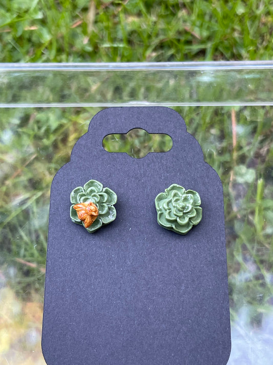 Succulent and Bee Studs